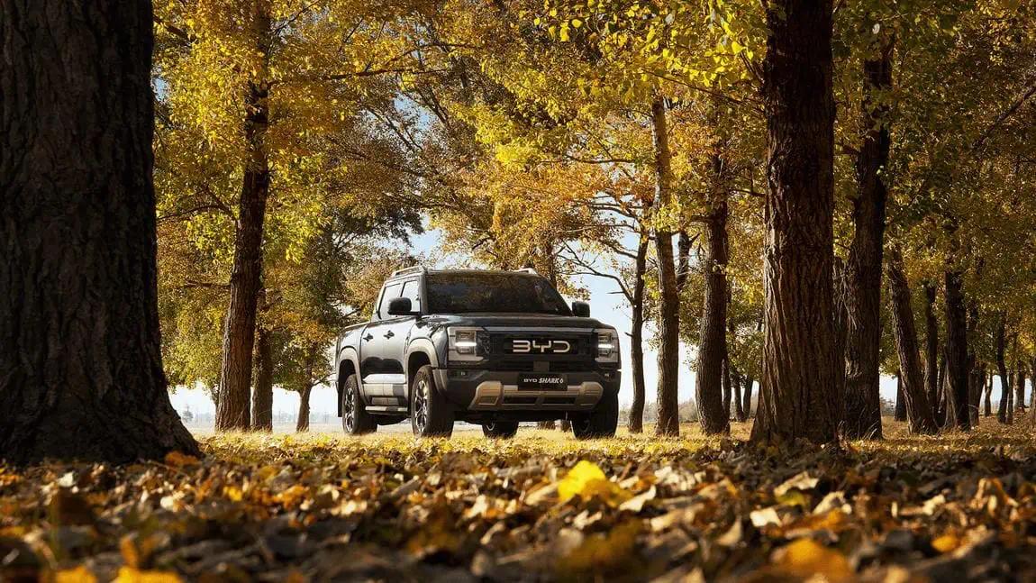 BYD ute driving through autumn trees with fallen leaves.