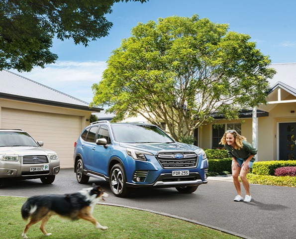 Novate used car